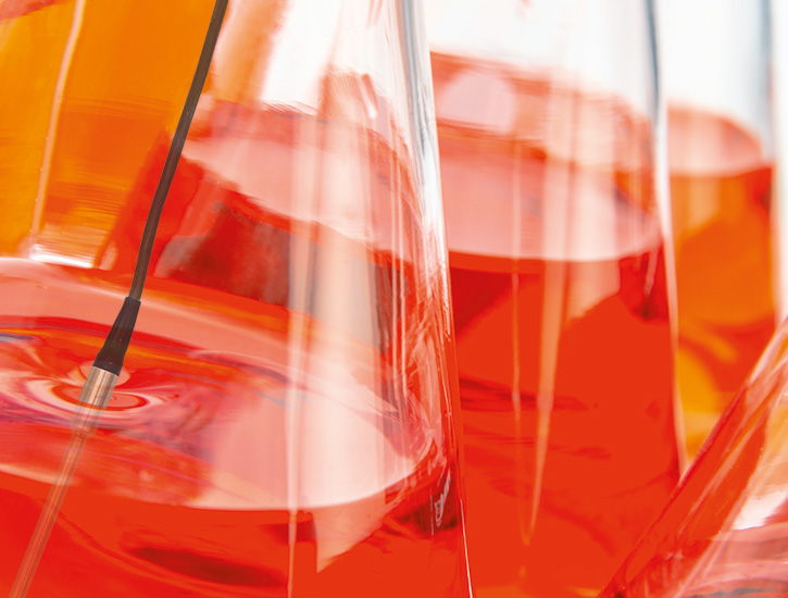 Sonda de referencia PT 100 en matraz Erlenmeyer - Esterilización