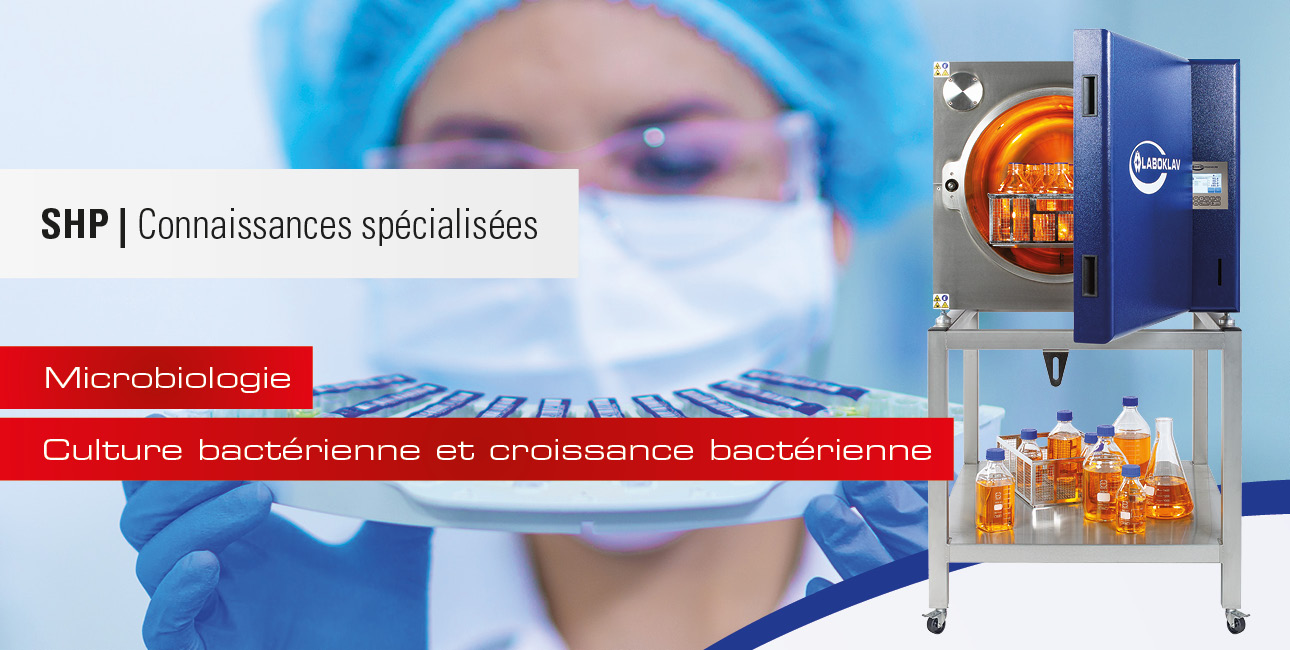 Culture bactérienne et croissance bactérienne