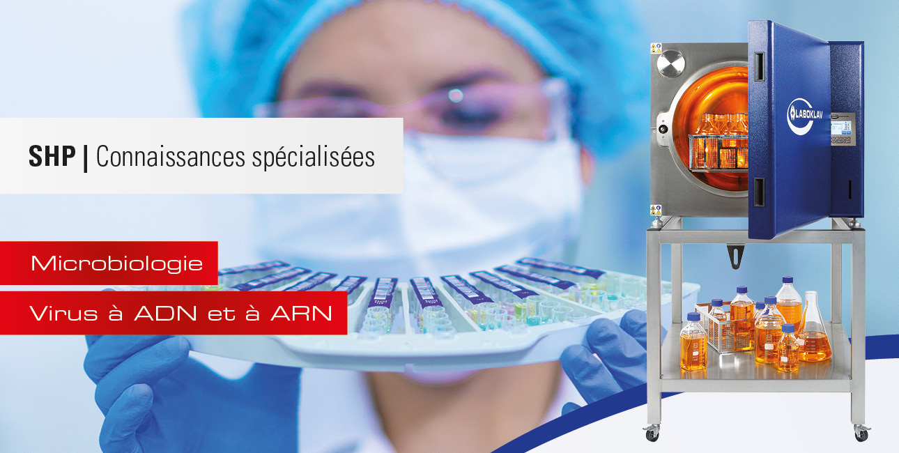 Virus à ADN et à ARN